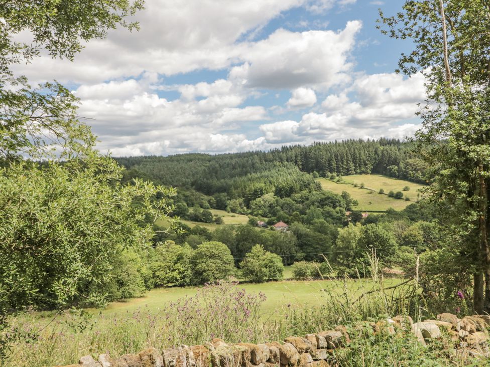 A scenic view of fields and trees at Low Muffles Bridge 