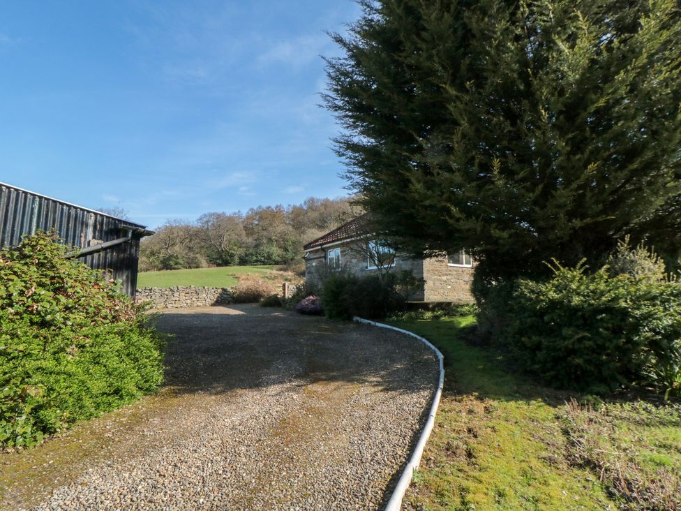 A gravel driveway surrounded by trees and a stone house at Low Muffles Bridge Hartoft near Rosedale Abbey