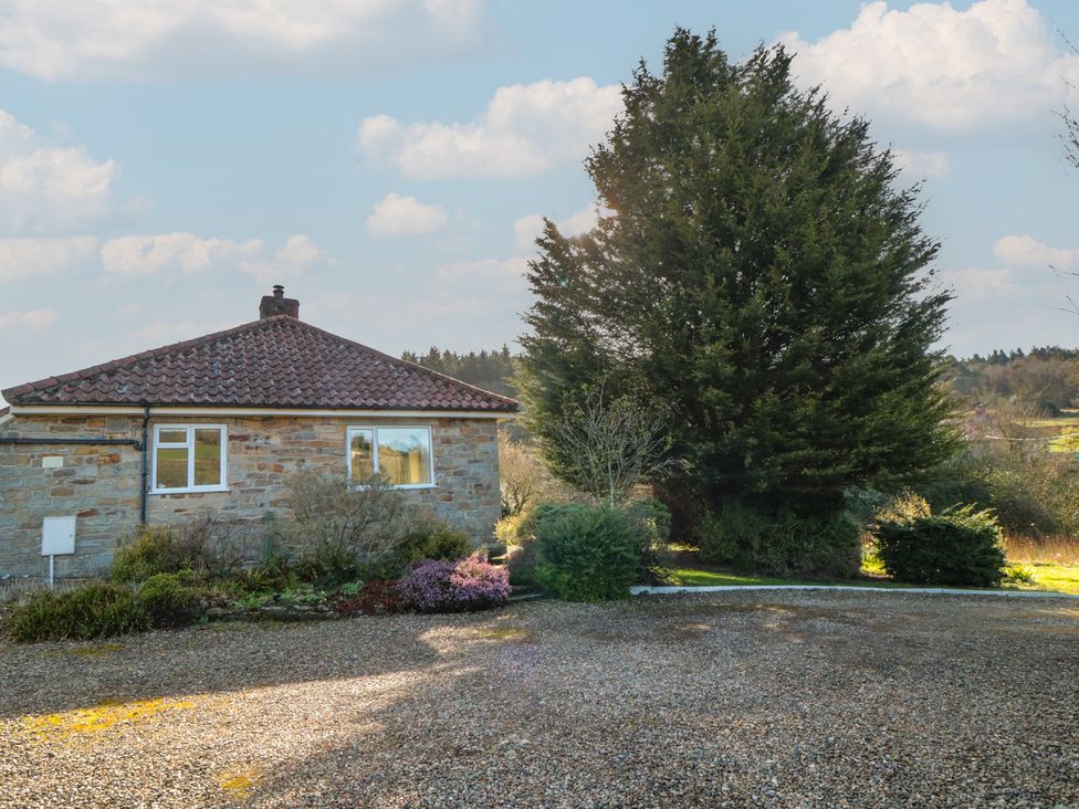 A house with a tree and bushes in the outdoor area at Low Muffles Bridge in Hartoft near Rosedale Abbey