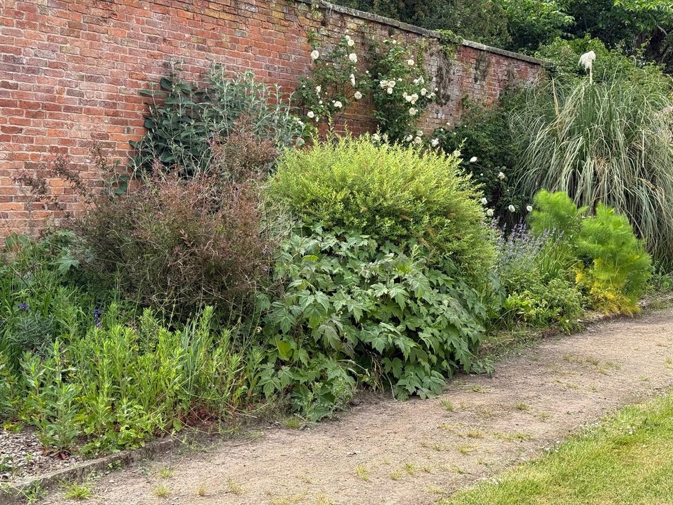 A garden with various plants and a brick wall at The Garden Hut in Wrexham