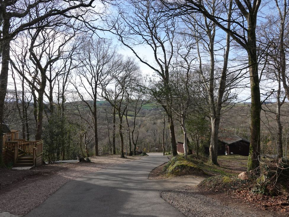 A road surrounded by trees leading to cabins at Acorn Lodge Finlakes Holiday Park near Chudleigh
