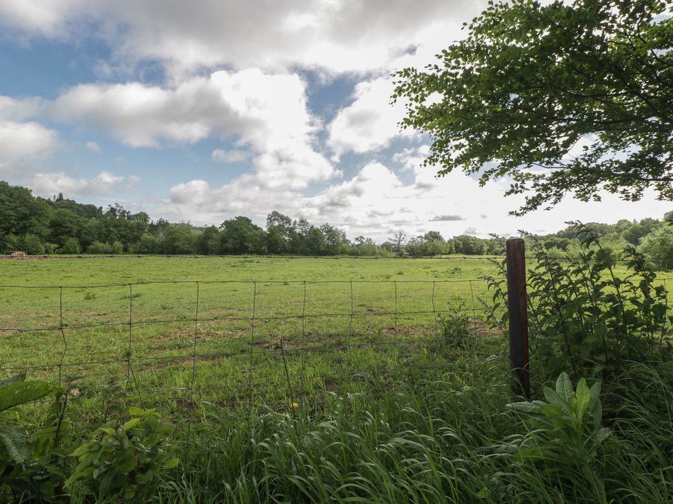 A field with a fence and trees at Monnow in Pandy near Longtown (hereford)