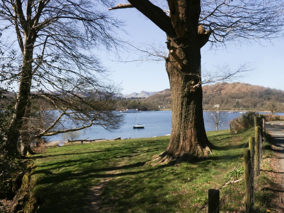 A lake with a boat and a tree by the shore at Norwood House in Ambleside