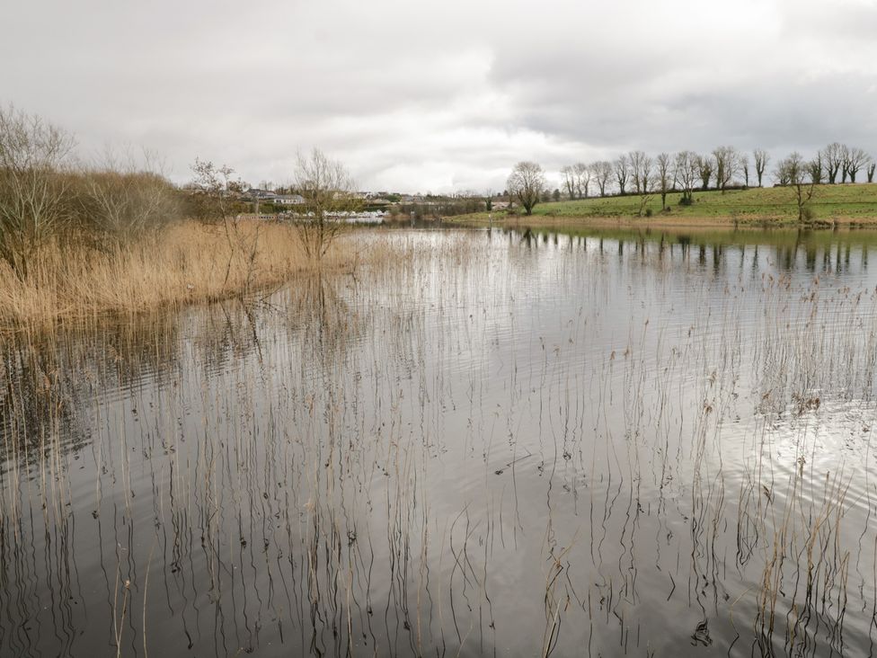 A body of water with reeds and trees at Huath in Carrick on Shannon