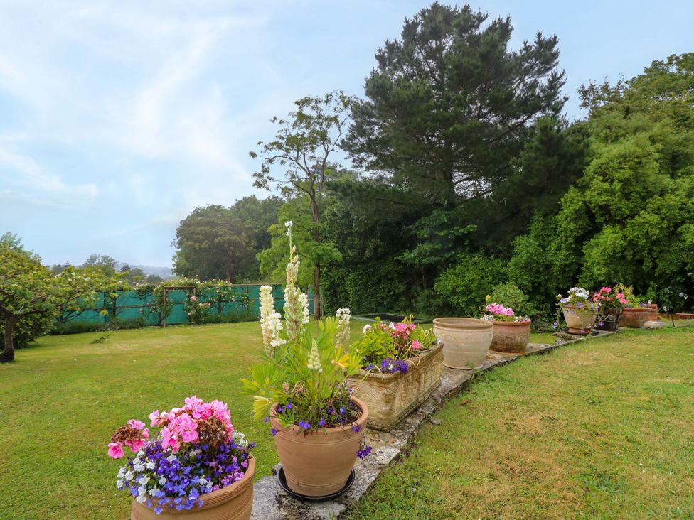 A garden with flower pots and grass at Woodlands in Freshwater