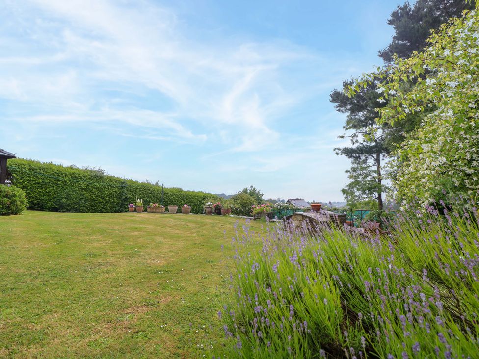 A garden with lavender and planters at Woodlands Freshwater