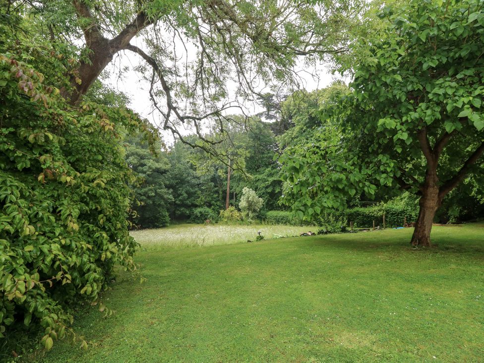 A garden with trees and a grassy area at Woodlands in Freshwater