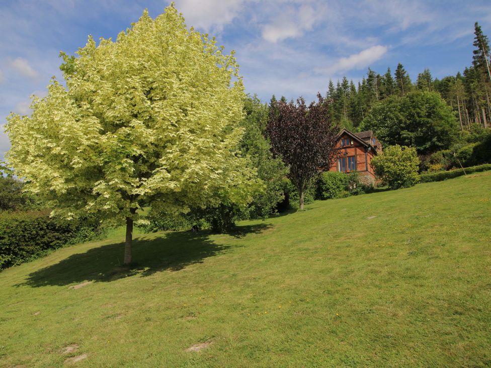 Callow Cottage - Shropshire - 1176359 - thumbnail photo 27