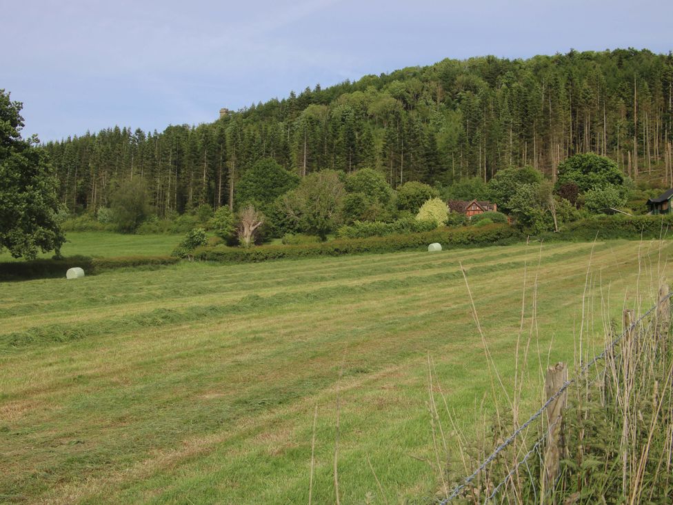 Callow Cottage - Shropshire - 1176359 - thumbnail photo 31