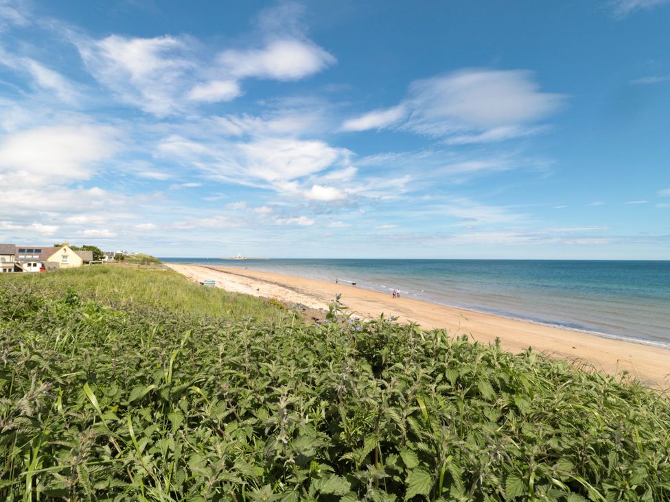 A beach with grass and houses along the shore at Amblers Rest in Amble