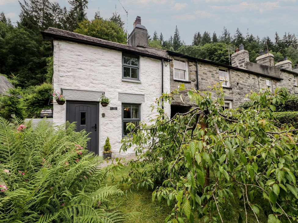 A cottage with plants and a door at Squirrel Cottage in Betws-Y-Coed