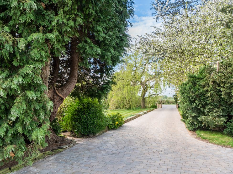 A garden pathway lined with trees at Hall O'Coole in Broomhall nearn Wrenbury