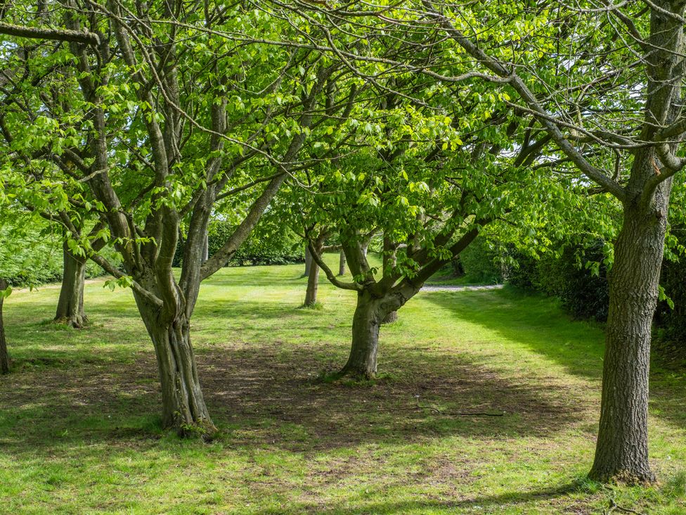 A view of trees and grass in a park at Hall O'Coole in Broomhall near Wrenbury