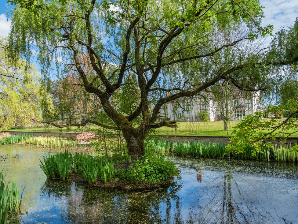 A tree beside a pond with a building in the background at Hall O'Coole in Broomhall nearn Wrenbury