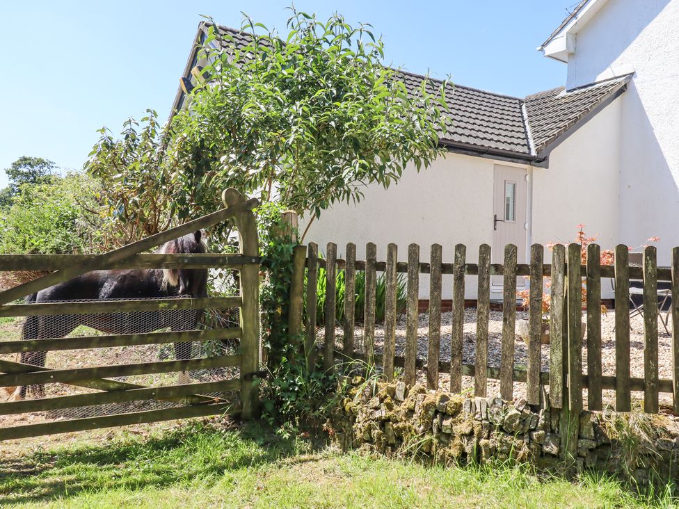 Little Henford - Devon - 1176459 - thumbnail photo 19