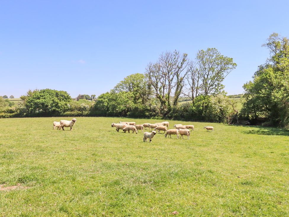 Little Henford - Devon - 1176459 - thumbnail photo 22