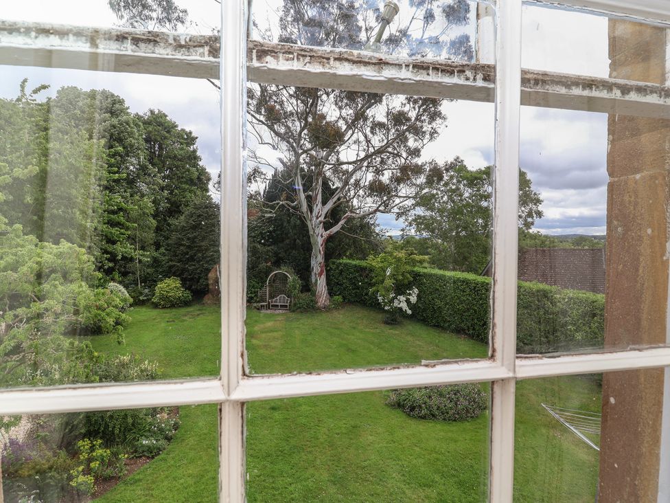 A view of the garden with trees and a swing at The Old Vicarage in Merriott