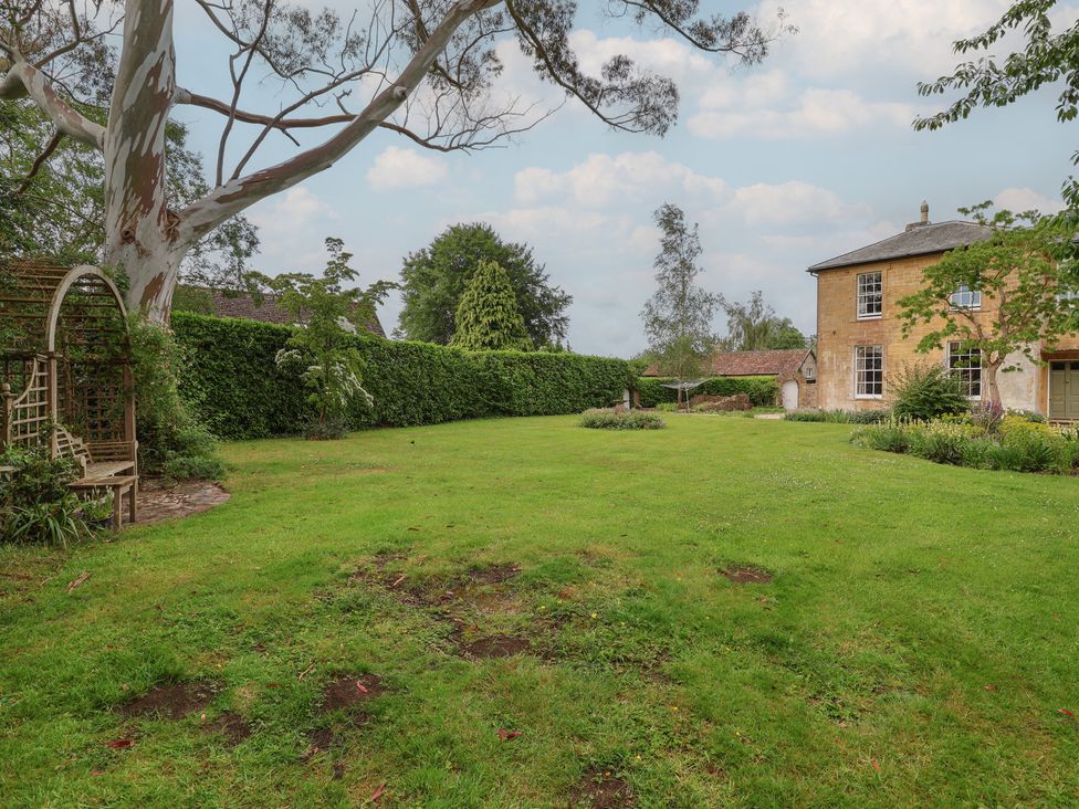 A garden with a tree, bench, and hedges at The Old Vicarage in Merriott