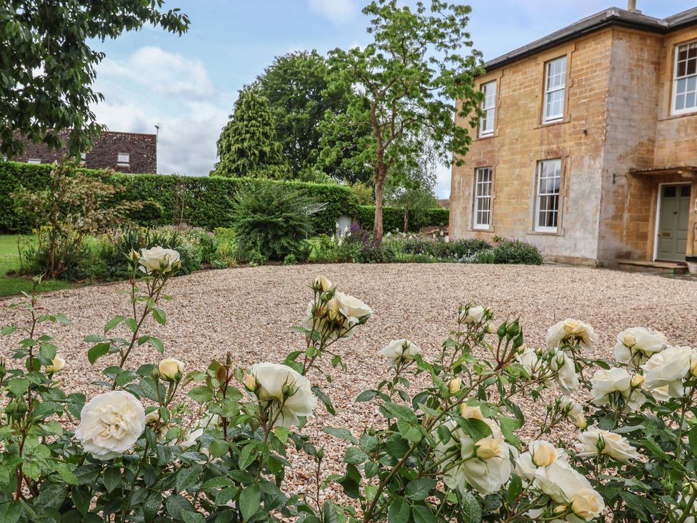 A garden with roses and a gravel area at The Old Vicarage in Merriott