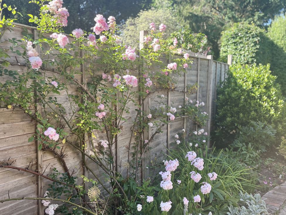 A garden with rose bushes and flowers at The Old Vicarage in Merriott