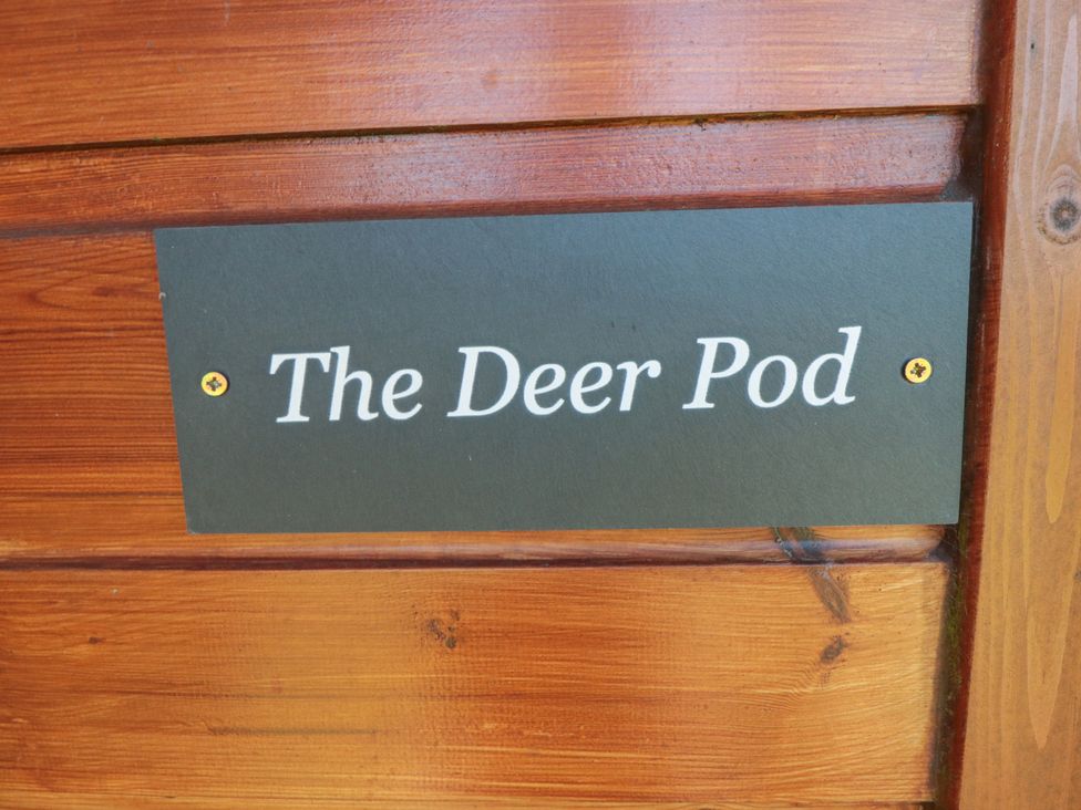 Deer Pod - North Yorkshire (incl. Whitby) - 1176519 - thumbnail photo 2