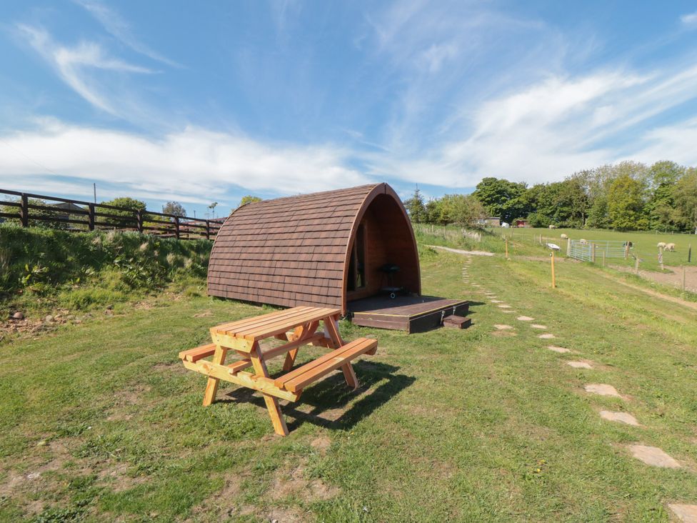 Deer Pod - North Yorkshire (incl. Whitby) - 1176519 - thumbnail photo 7