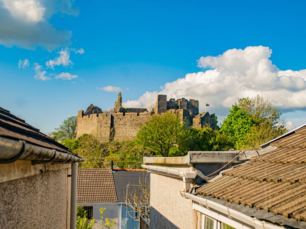 A view of a castle with rooftops and trees at Flat 56 Newton Road in Abertawe