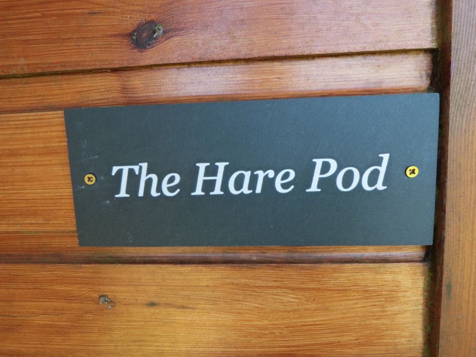 Hare Pod - North Yorkshire (incl. Whitby) - 1176590 - thumbnail photo 2