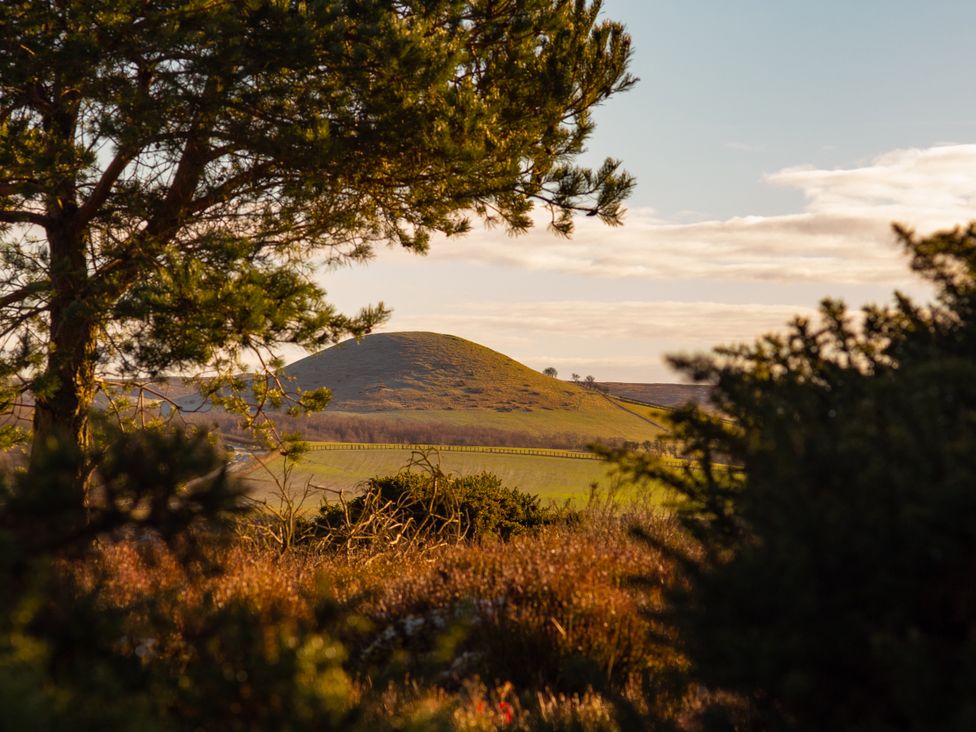 A view of a hill surrounded by trees and a fence at Moorsholm View, Saltburn-by-the-Sea