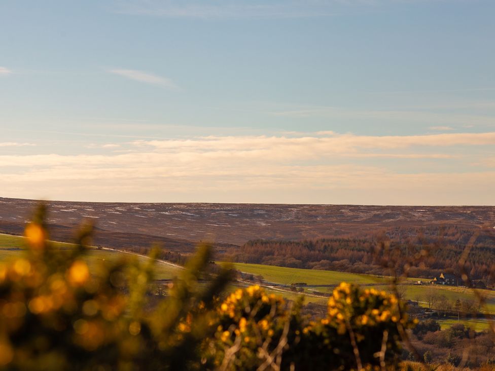 A view of hills and fields at Moorsholm View in Saltburn-by-the-Sea
