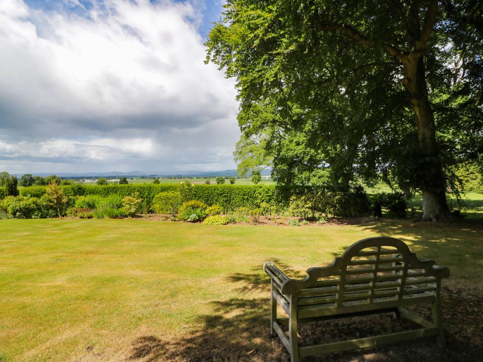 A garden with a bench and greenery at Eagle Glen Manor House in Blairgowrie