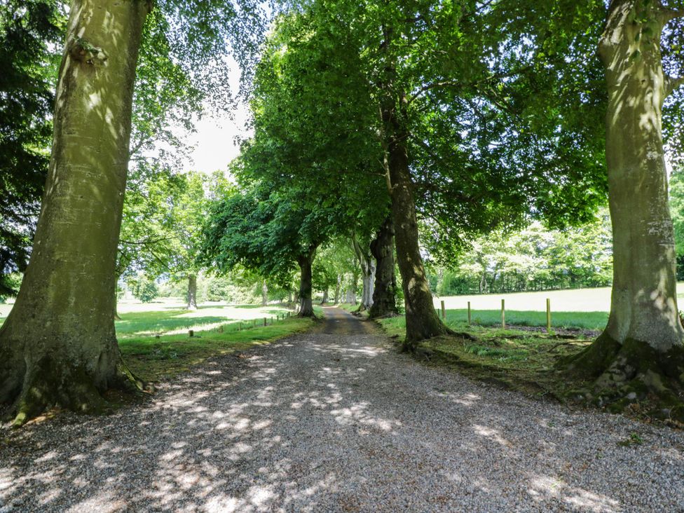 A gravel path lined with trees at Eagle Glen Manor House in Blairgowrie