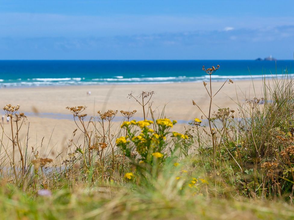 A beach view with grass and wildflowers at The Cottage in St. Ives