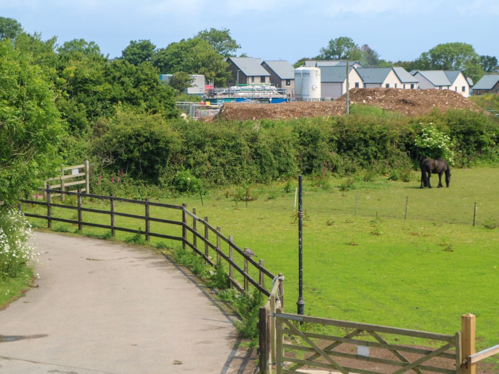 A grassy area with a horse and a pathway at Swallows Nest in St. Ives