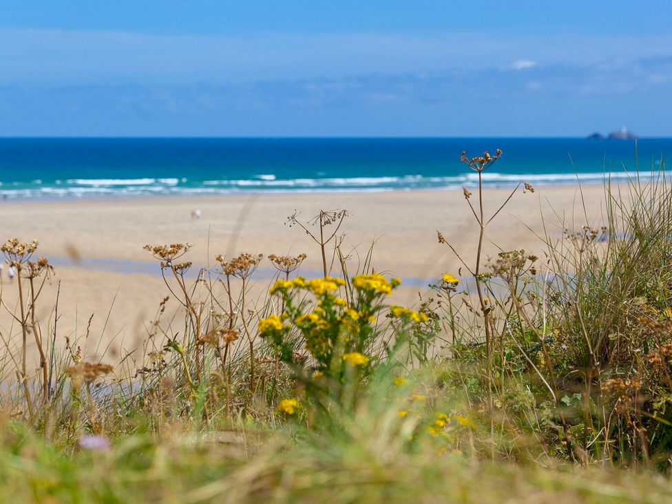 A beach view with flowers in the foreground at Swallows Nest in St. Ives