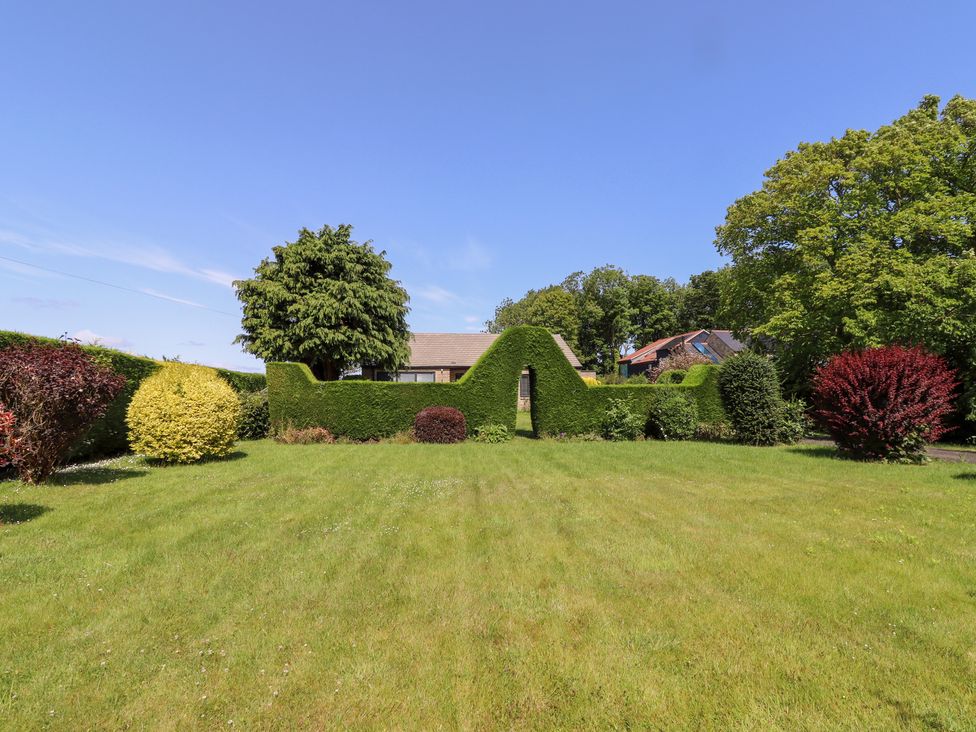 A garden with hedges and lawn at Rose Cottage in Dunstan near Embleton