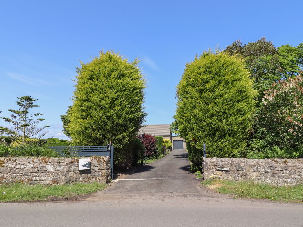 A driveway with trees and a stone wall at Rose Cottage in Dunstan near Embleton