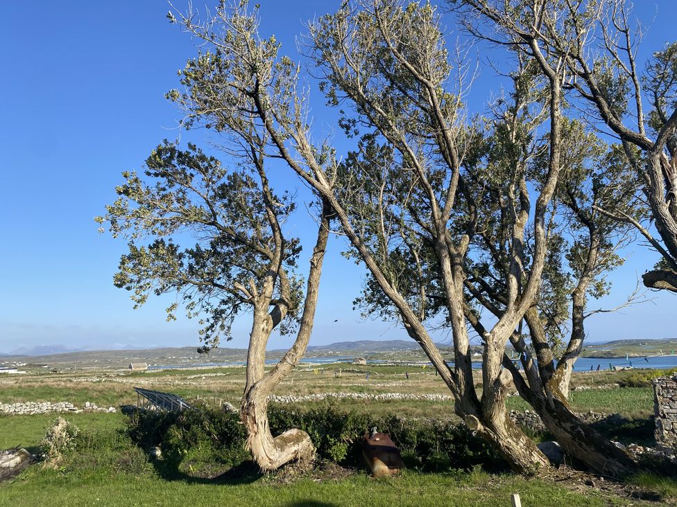 Trees beside a lake with mountains in the background at Nead na bhFáinleog (Swallows’ Nest), Claddaghduff, County Galway