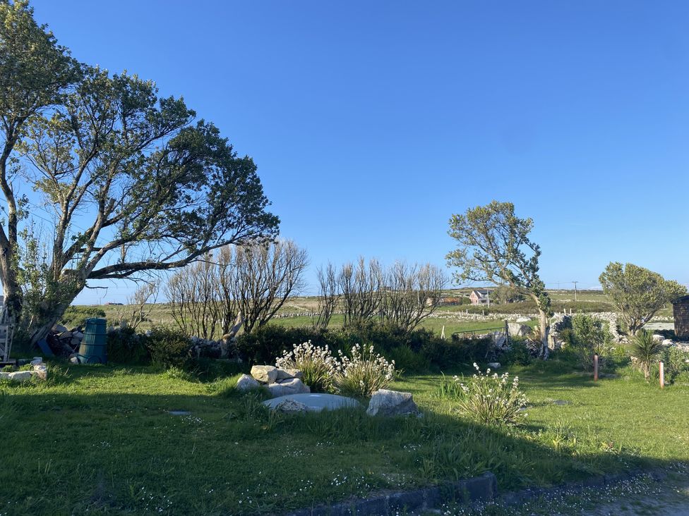 A garden with trees and rocks at Nead na bhFáinleog (Swallows’ Nest) Claddaghduff, County Galway
