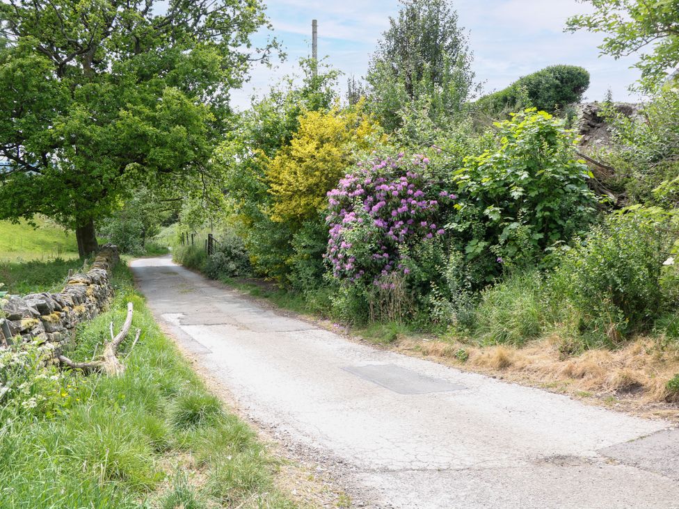 A road lined with trees and bushes at The Stables in Stockport