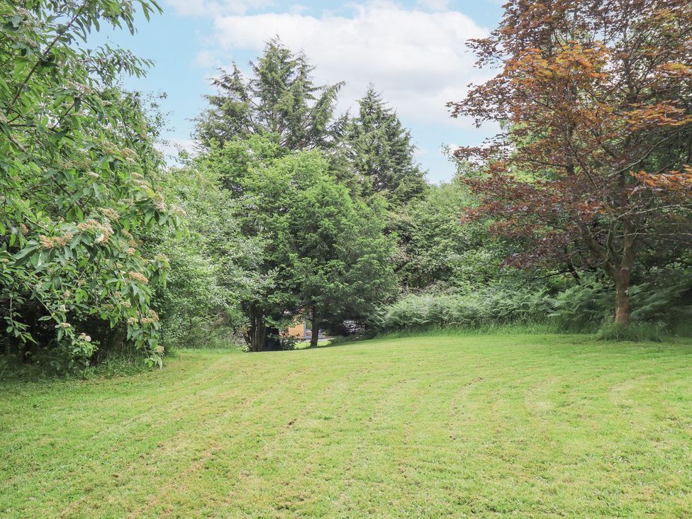 A garden with trees and a grassy area at Bracken Ground in Coniston
