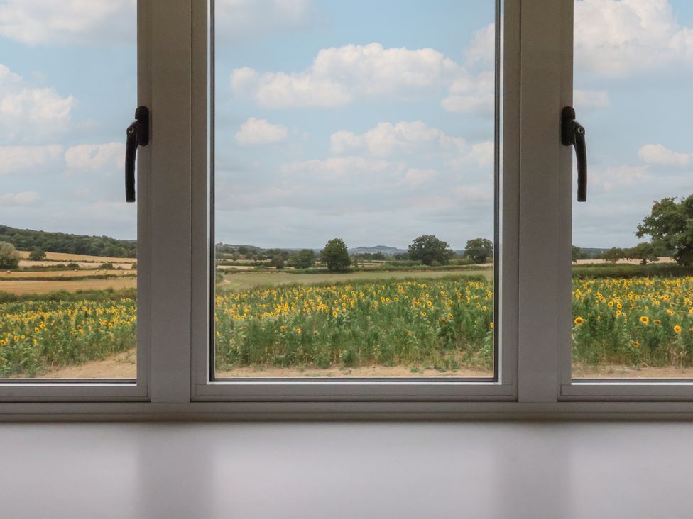 A view of a sunflower field through a window at Foxes Den Pendomer near Yeovil, Somerset