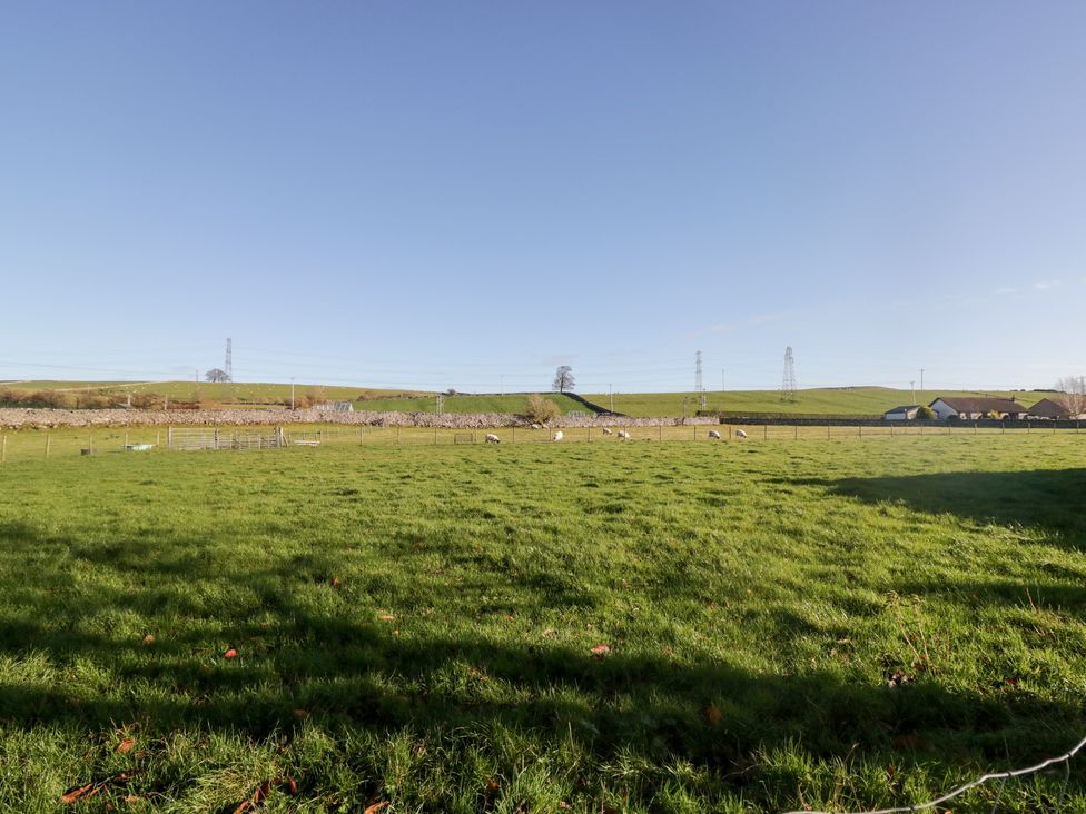 A field with sheep and a stone wall at Rocklands in Shap