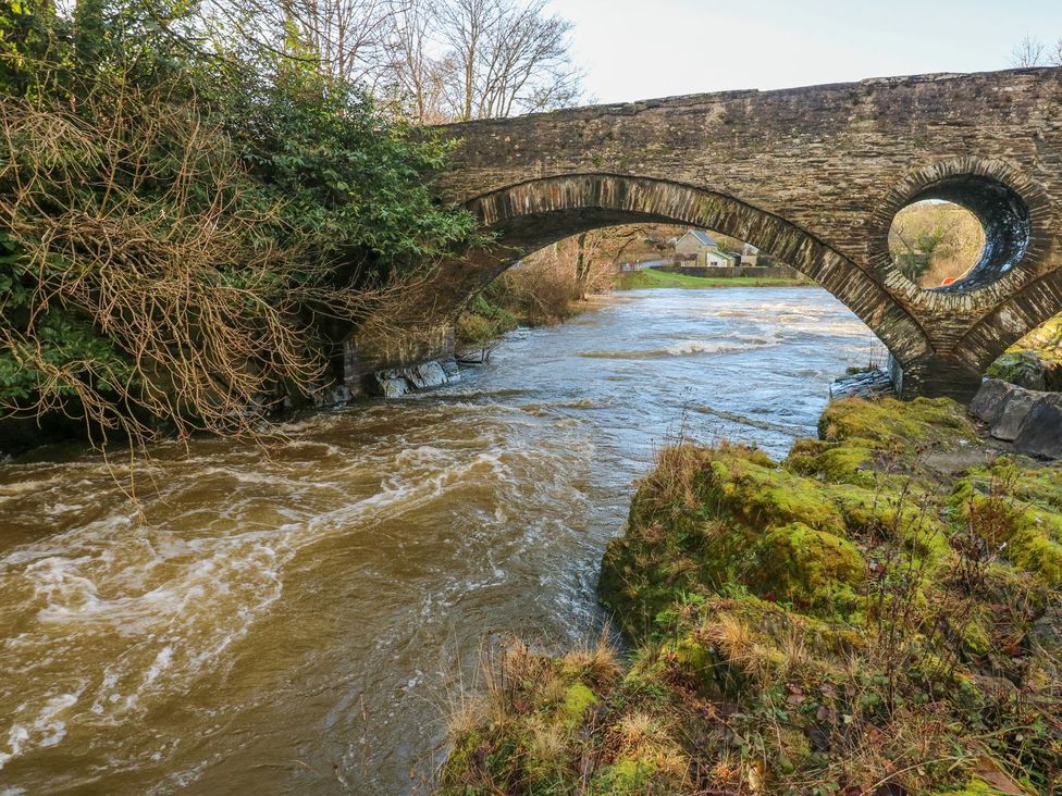 A bridge over a river surrounded by trees at Hafan Y Gof Newcastle Emlyn