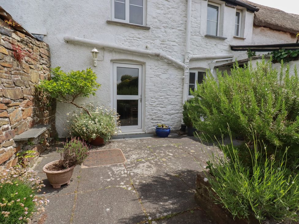 An outdoor area with plants and a door at Trevean in Bude