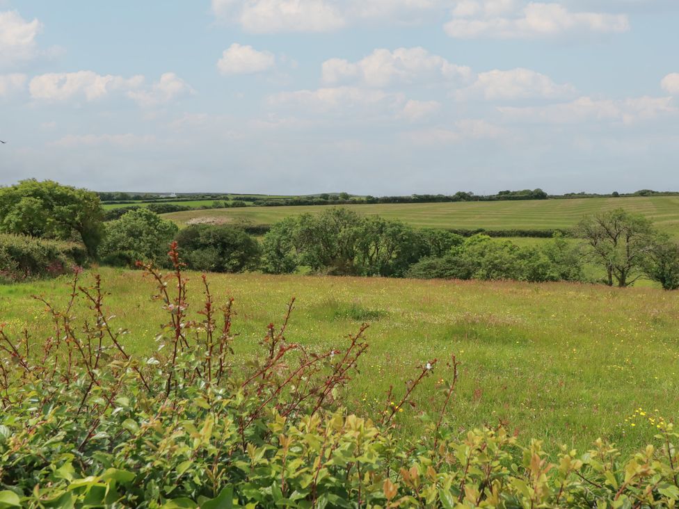 A view of fields and trees at Trevean in Bude