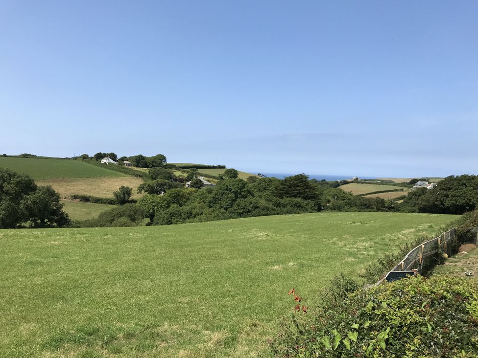 A field with trees and houses at Trevean in Crackington Haven