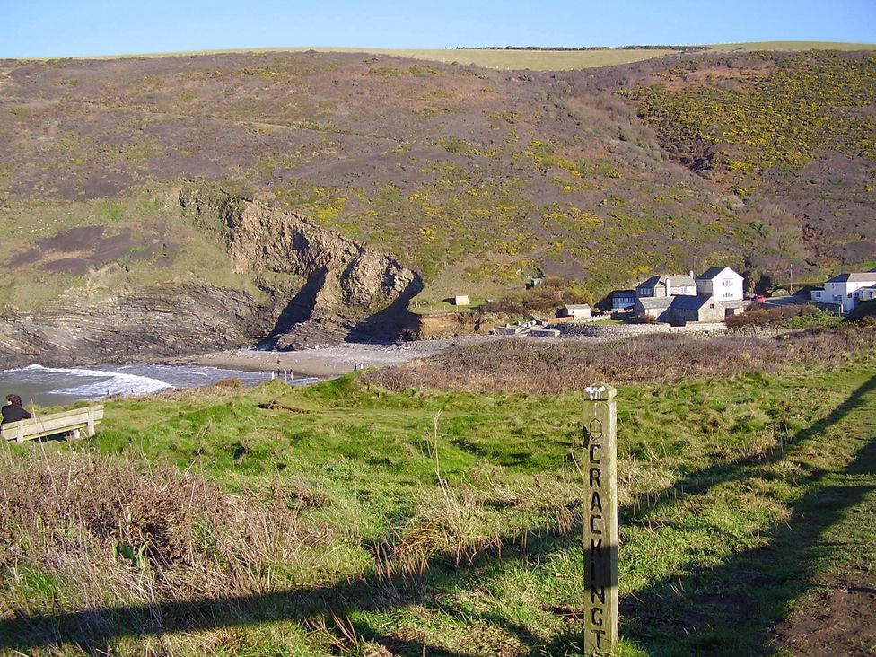 A coastal view with cliffs and houses at Trevean in Crackington Haven