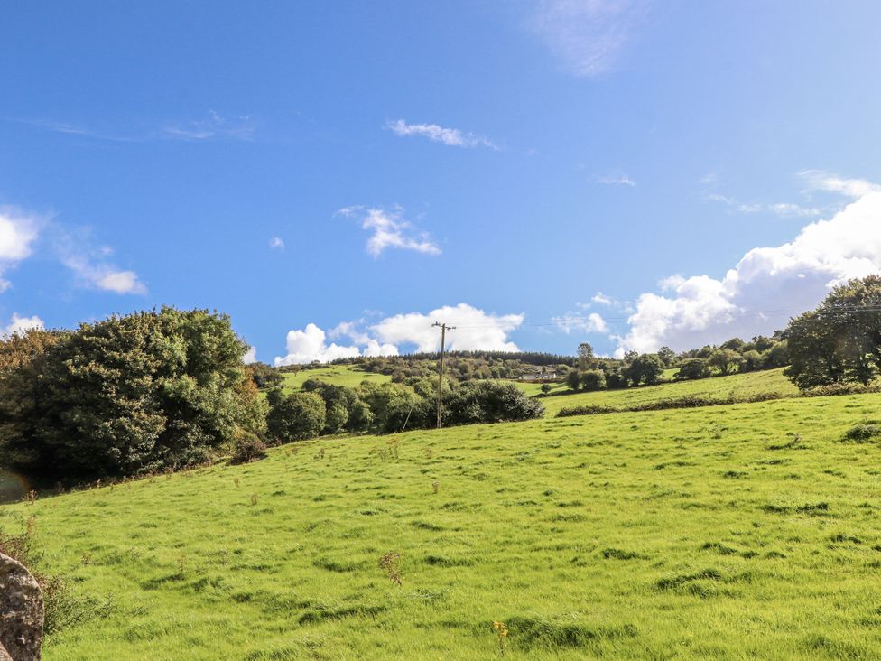 A grassy field with trees and a telephone pole at White Heather Cottage in Killalou