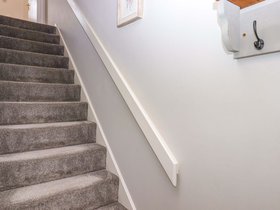 A staircase with carpet and a handrail at Hedgehogs Barnstaple